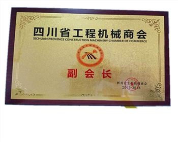 工程機(jī)械商會(huì)副會(huì)長(zhǎng)